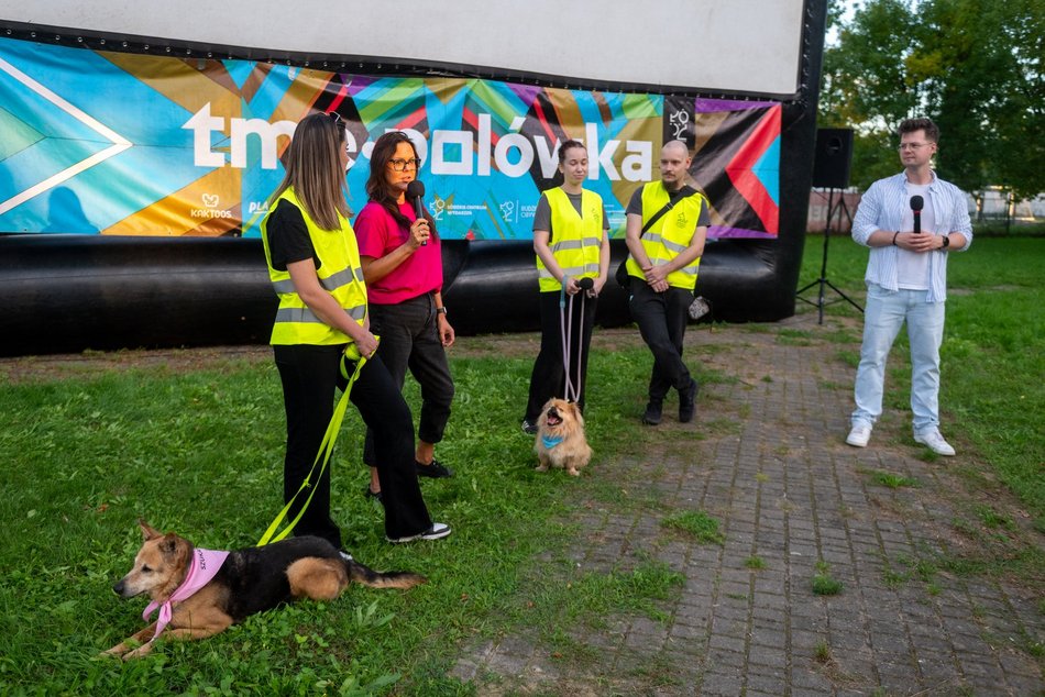 Łódź. Ostatni Psia Polówka w Łodzi za nami. Nic słodszego dziś nie zobaczysz!