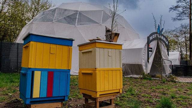 Orientarium Zoo Łódź stawia na pszczoły i... inteligentne ule! [ZDJĘCIA]