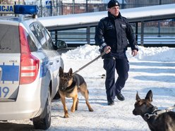 Dwa psy służbowe zasiliły szeregi Komendy Miejskiej Policji w Łodzi