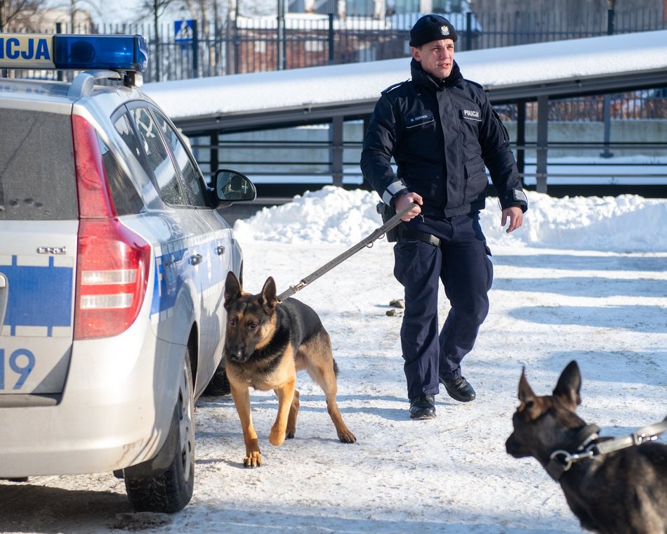 Dwa psy służbowe zasiliły szeregi Komendy Miejskiej Policji w Łodzi