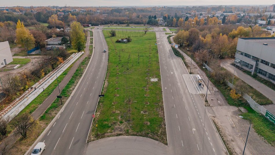 Łódź. Kolejne drzewa w centrum Łodzi!
