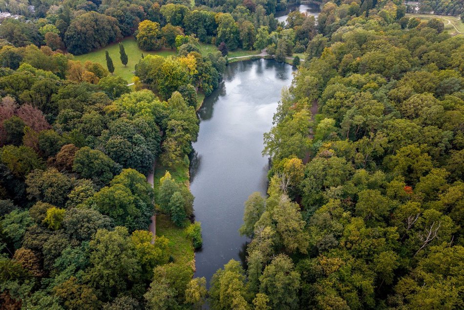 Gdzie grillować w Łodzi? Majówka z bliskim na łonie natury