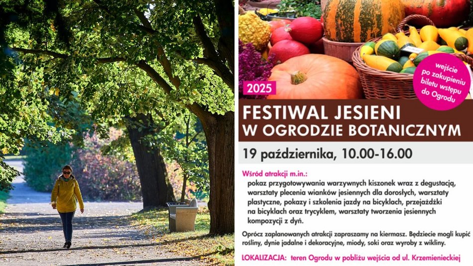 Łódź. Festiwal Jesieni w Ogrodzie Botanicznym w Łodzi. Kiermasz, warsztaty i dobre jedzenie