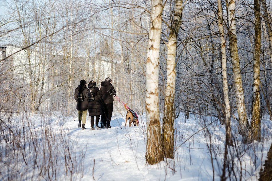 Łódź. Psy ze schroniska w Łodzi na spacerze