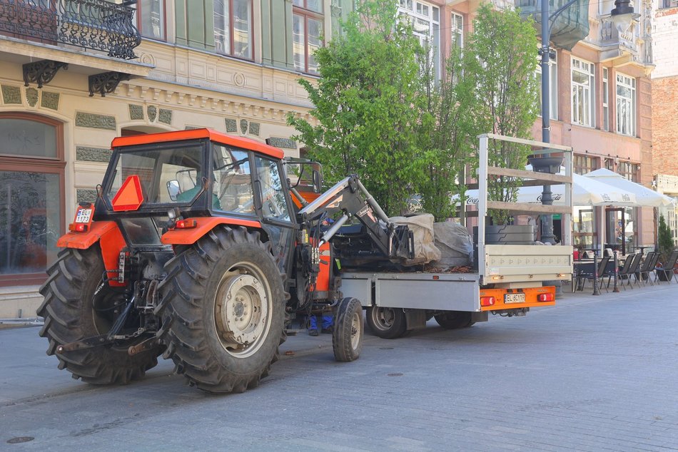 Nowe drzewa przy Zielonej w Łodzi. Zobacz, jak stawiali wielkie donice