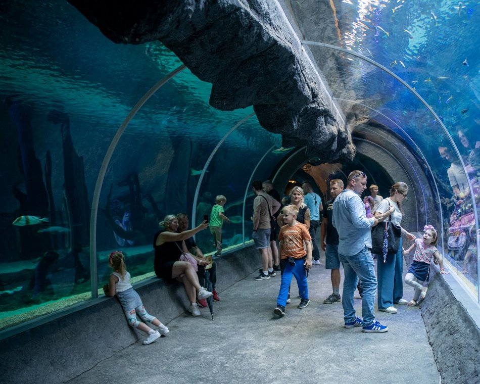 601. Urodziny Łodzi w Orientarium Zoo Łódź