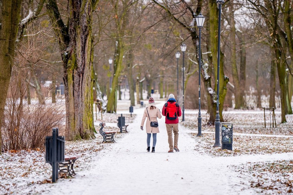 Park Poniatowskiego w zimowej szacie