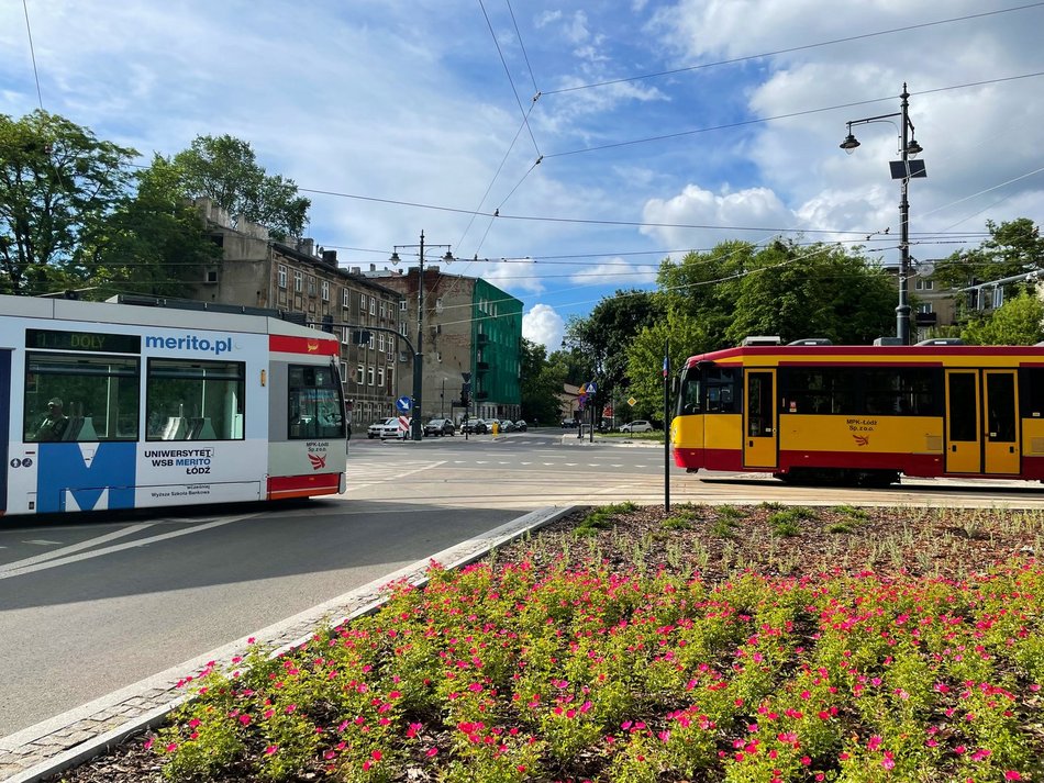 Wojska Polskiego po remoncie - rośliny ozdobne