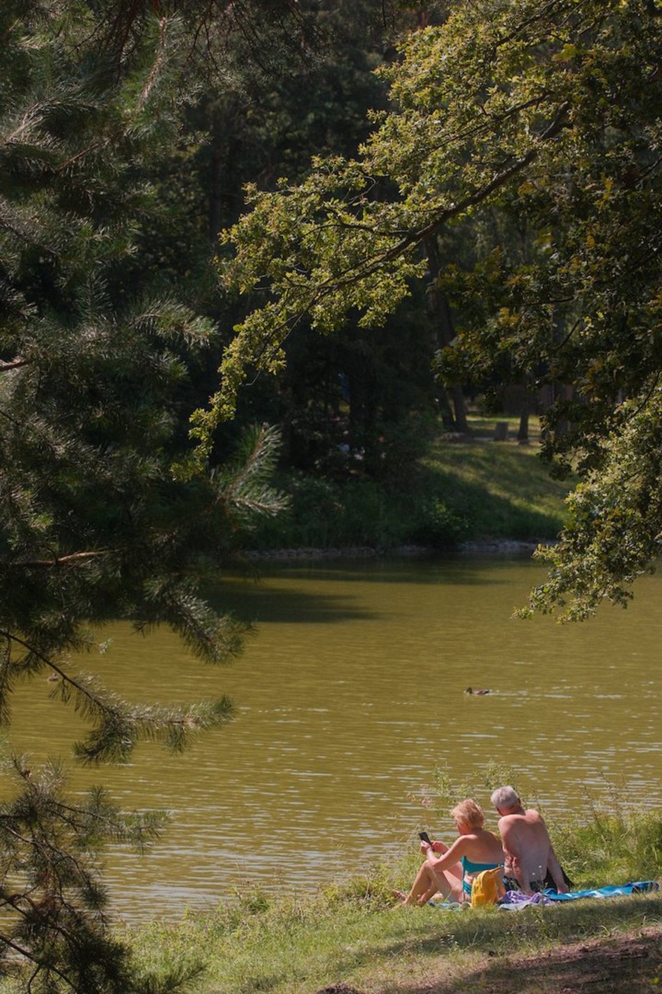 Łódź. Arturówek w pełnym słońcu. Idealny czas na plażowanie!