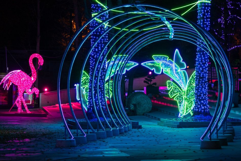 Park Miliona Świateł w Łodzi otwarty! Magiczne zwierzęta opanowały Orientarium Zoo Łódź