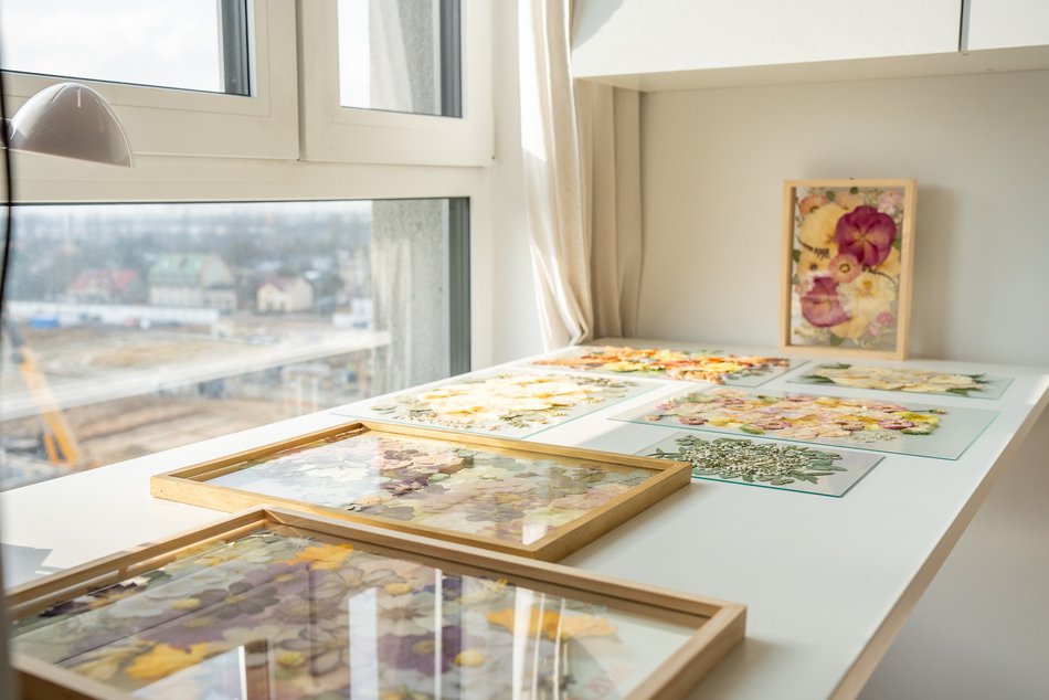 Łódź. Daria Mazurowska prasuje rośliny zawodowo!