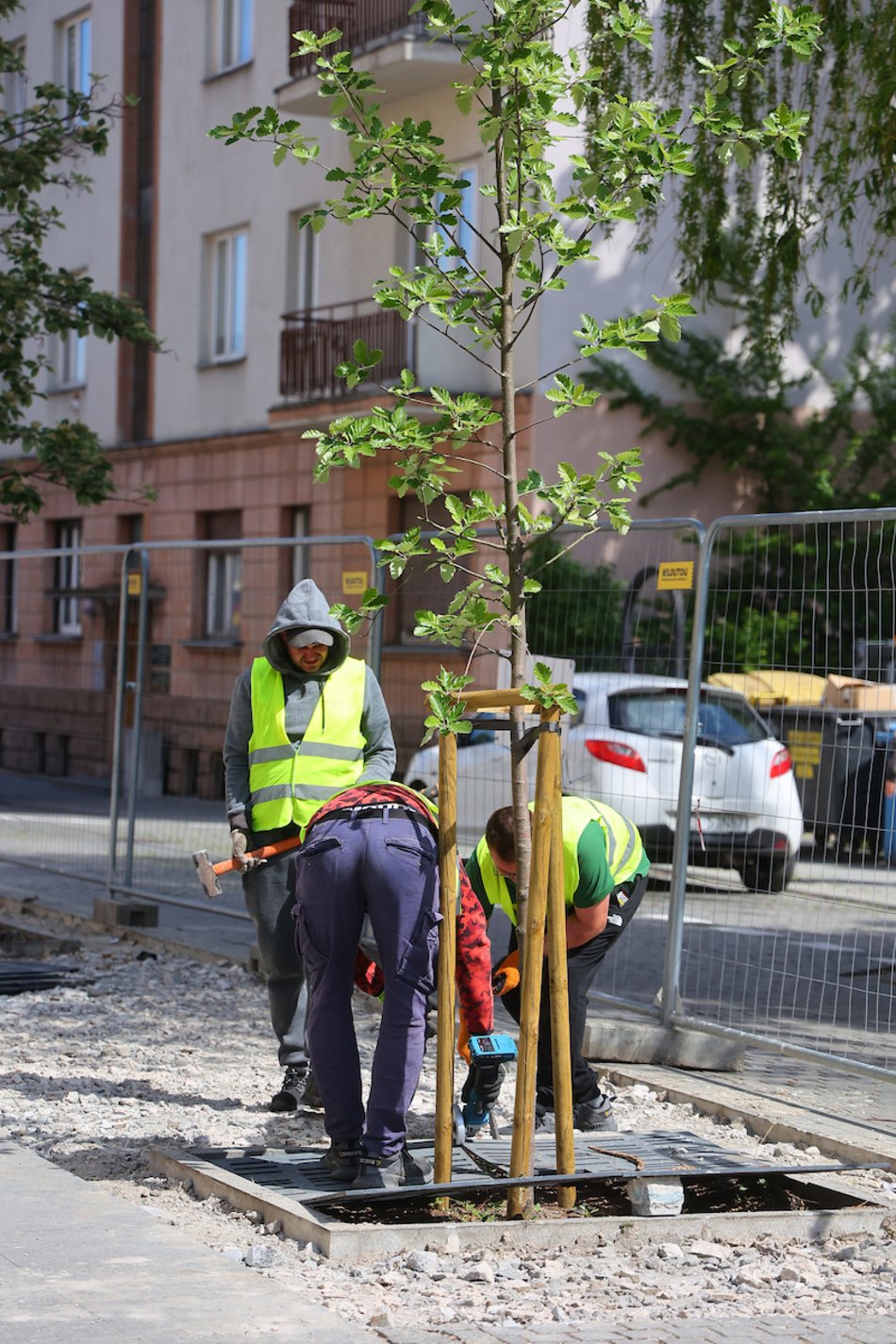 Łódź. Więcej zieleni w centrum! Zamiast betonu będą kolorowe byliny, krzewy i piękne rabaty