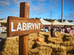 Farma Dyniowa w centrum Łodzi! Poczuj klimat jesieni w Pasażu Łódzkim