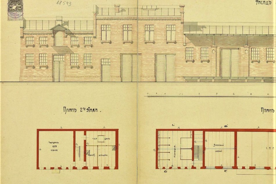 Stajnie na podwórkach w Łodzi