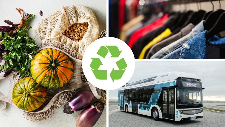 owoce warzywa autobus ubrania