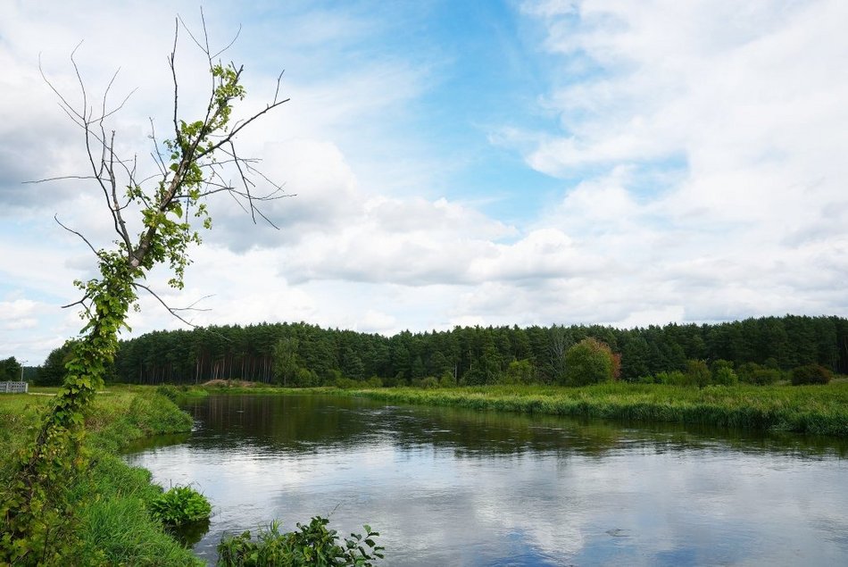 Łódź. Szlak pieszo-rowerowy nad rzeką Pilicą