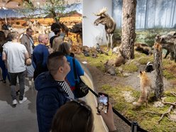 Łódź. Gdzie w Łodzi znaleźć zieleń zimą? Nasze propozycje atrakcji w ogrzewanych wnętrzach