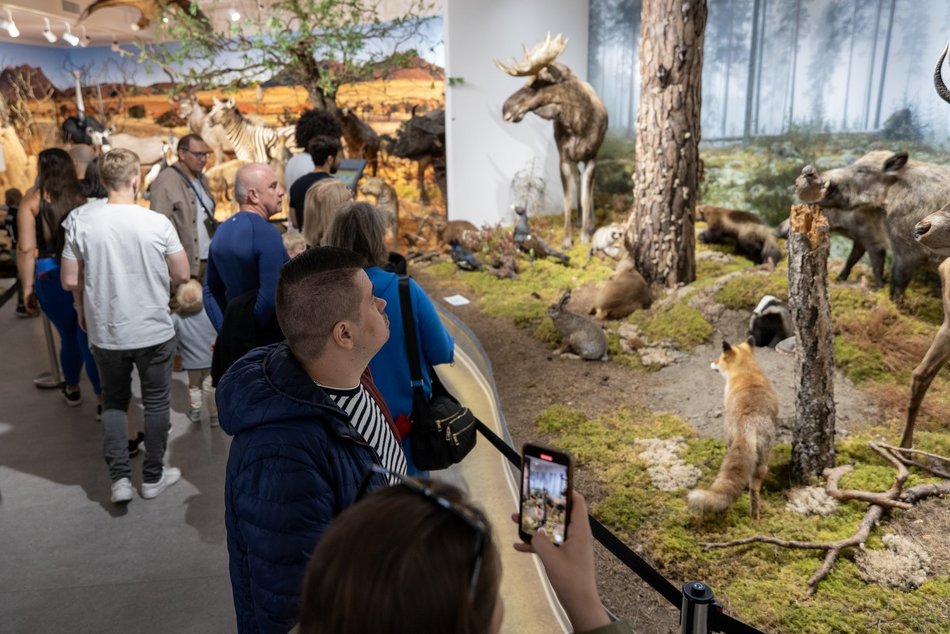 Łódź. Gdzie w Łodzi znaleźć zieleń zimą? Nasze propozycje atrakcji w ogrzewanych wnętrzach