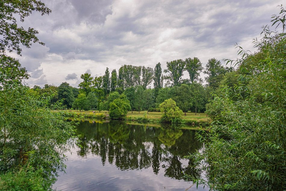 park nad jasieniem