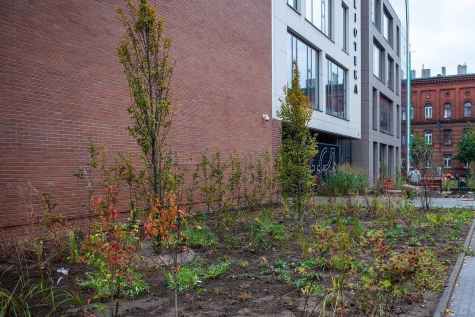 Nowy zieleniec przy Sass-Zdort, tuż przy Bibliotece Tuvim