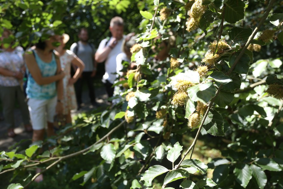 Warsztaty w Ogrodzie Botanicznym w Łodzi