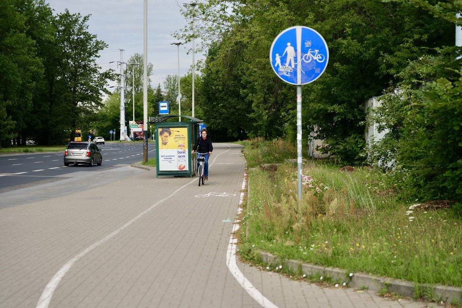 Łódź. Droga rowerowa na al. Bandurskiego w Łodzi przed remontem