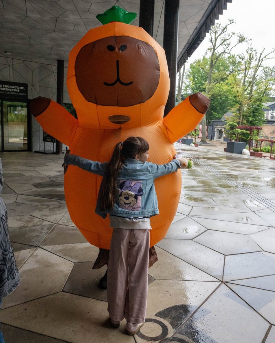 Łódź. Zlot Fanów Kapibary w Orientarium Zoo Łódź. Świetna frekwencja mimo niepogody