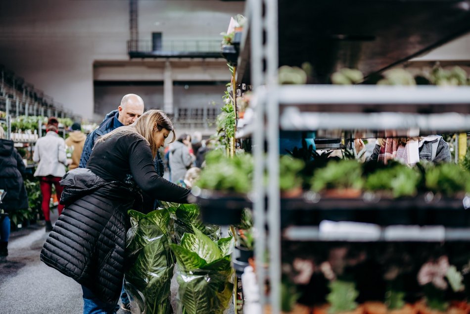 Łódź. Festiwal Roślin w Sport Arenie w Łodzi. Wyjątkowe okazy i tłumy łodzian!