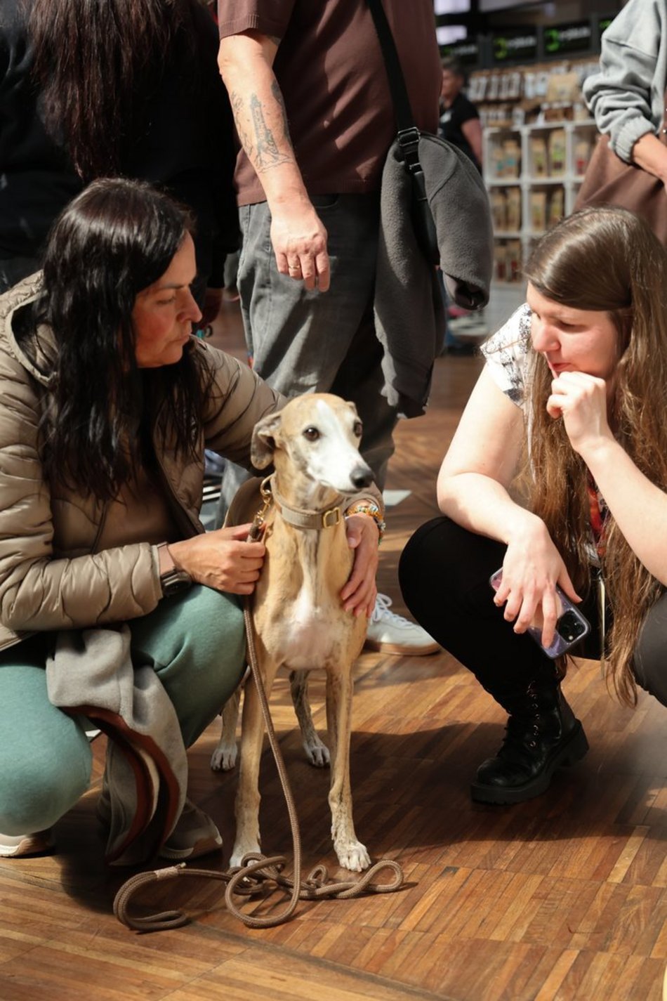 Łódź. Psi Targ w Manufakturze w Łodzi. Każdy miłośnik czworonogów znajdzie tu coś dla siebie