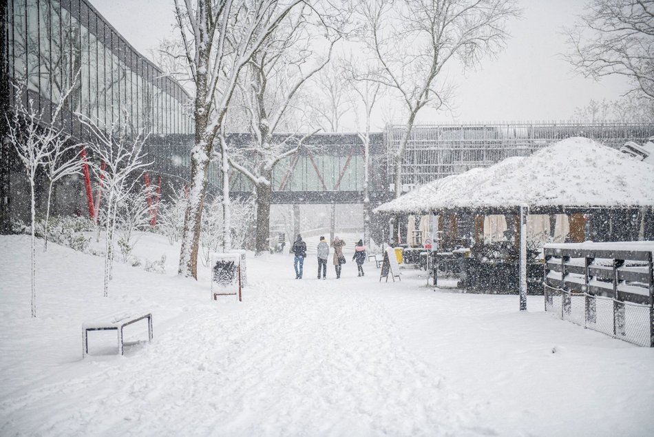 Łódź. Orientarium Zoo Łódź z nominacją w plebiscycie „Zimowe Gwiazdy Travelist 2026”. Oddaj swój głos!