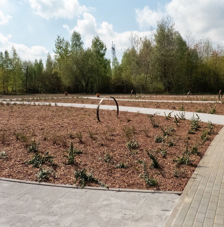 Łódź. Nowy park na Janowie w Łodzi. Kiedy podrosną rośliny, zobaczymy zieloną oazę