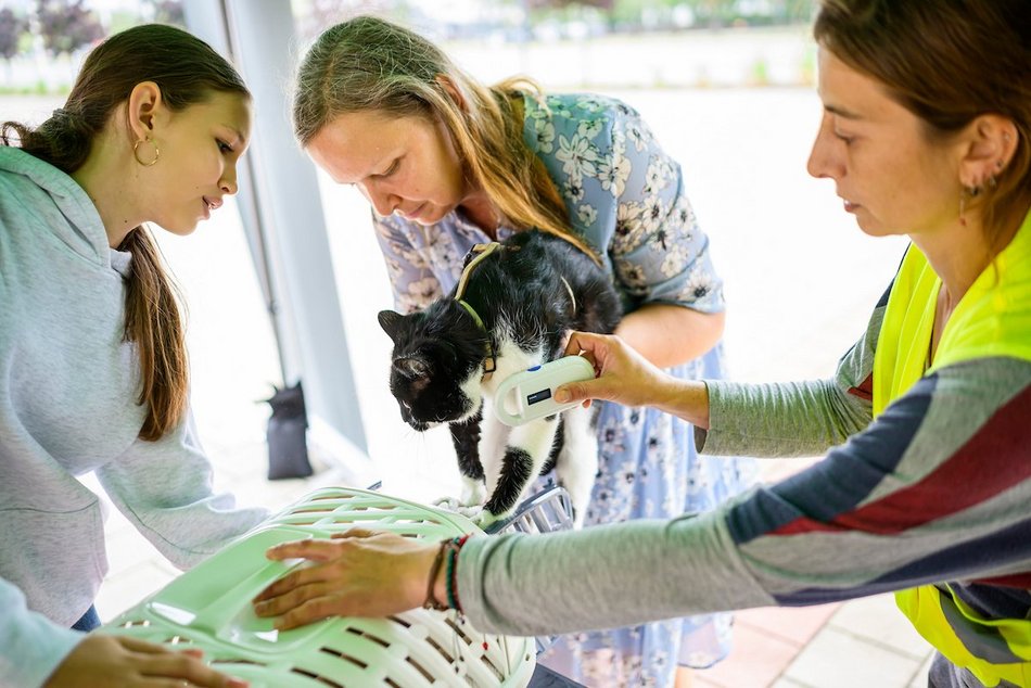Łódź. Weterynarze w Łodzi całodobowo i w majówkę. Dokąd udać się z chorym zwierzakiem?