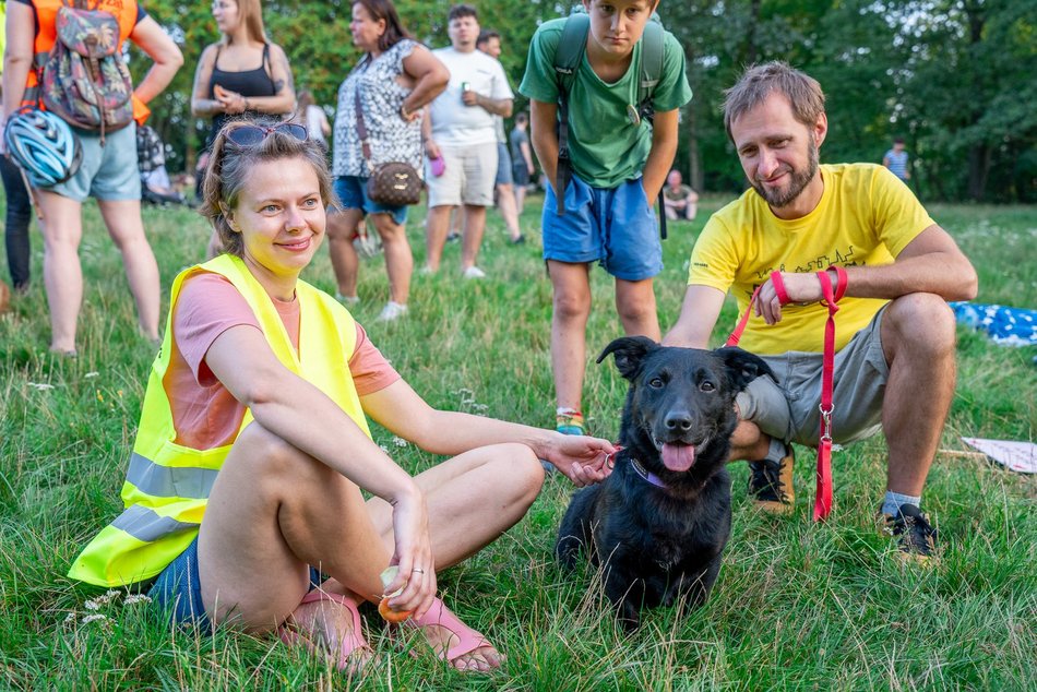 Psia Polówka w Łodzi