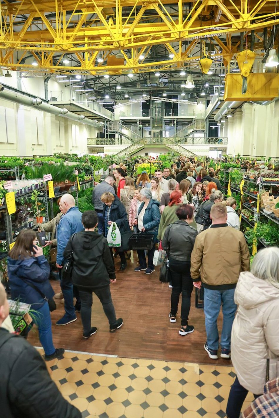 Łódź. Wystartował Festiwal Roślin! Wybierasz się?