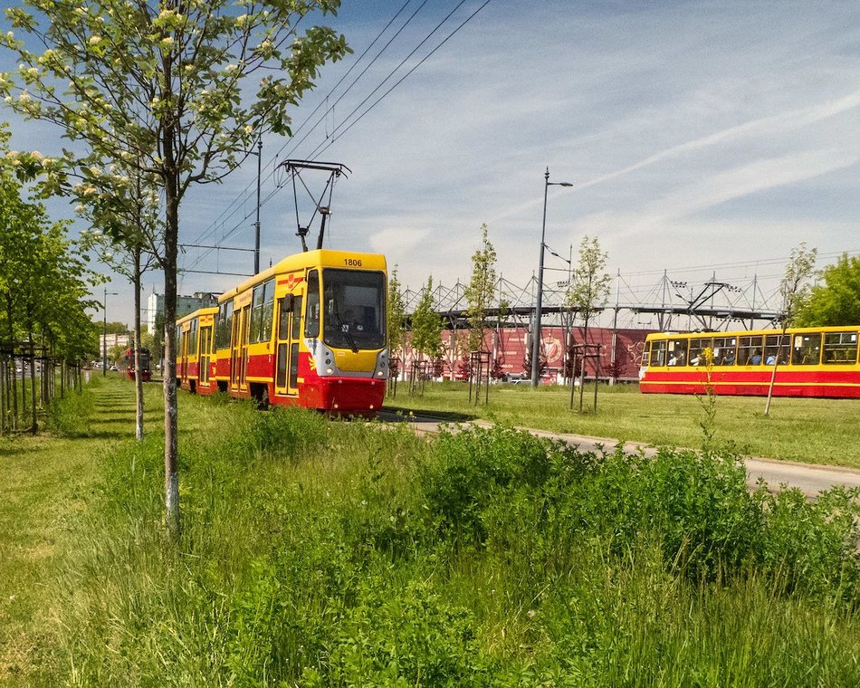 Łódź. Ponad 30 kilometrów najbardziej zielonych torowisk w Polsce? Oczywiście w Łodzi!