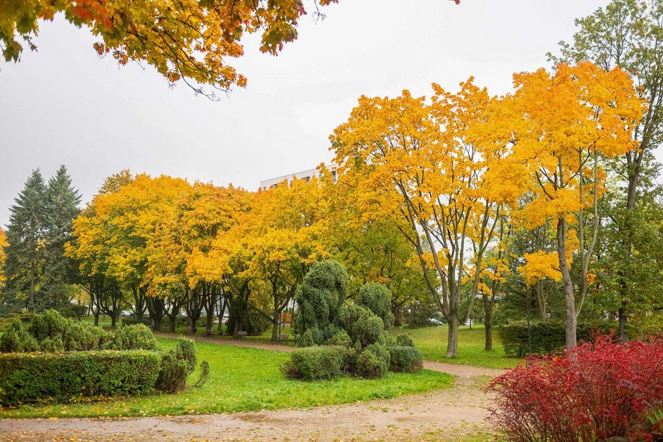 Łódź. Jesienne kadry z parków