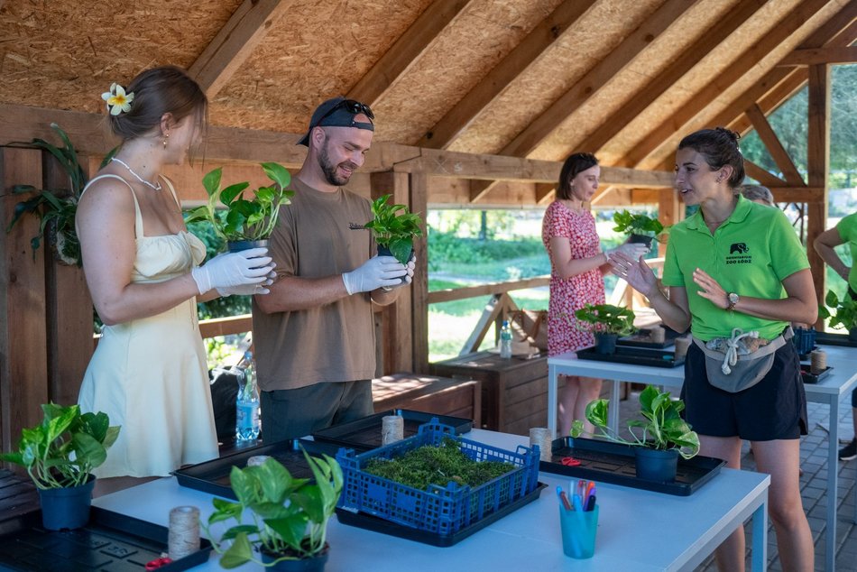 Łódź. Zielona Feta w Orientarium Zoo Łódź. Moc atrakcji na długi weekend