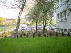 IX LO w Łodzi - fotowoltaika, ekologiczny ogródek i pompa ciepła