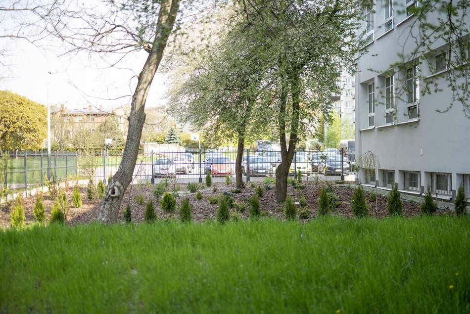 IX LO w Łodzi - fotowoltaika, ekologiczny ogródek i pompa ciepła