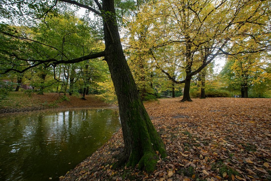 Łódź. Zimowy spacer nad wodą? Podpowiadamy najlepsze miejsca