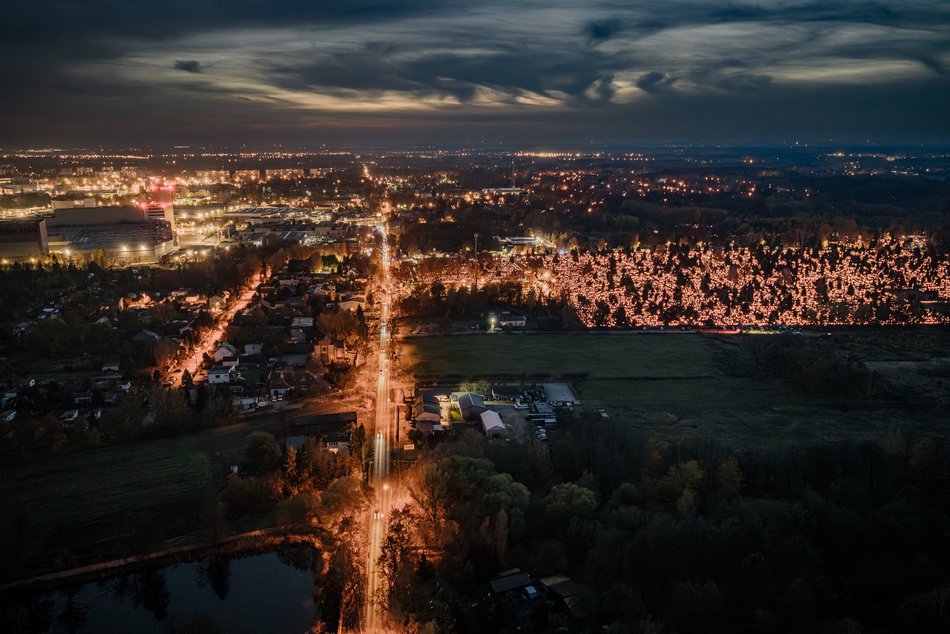 Cmentarz Szczecińska w Łodzi wygląda magicznie. Wybierz się na spacer w zaduszki