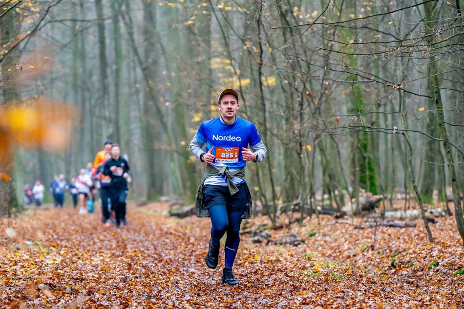 Cookie Run w Lesie Łagiewnickim w Łodzi