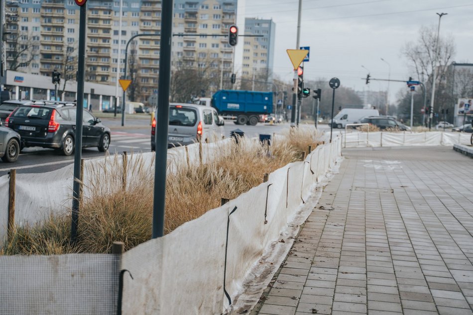 Łódź. Nasadzenia na al. Włókniarzy w Łodzi