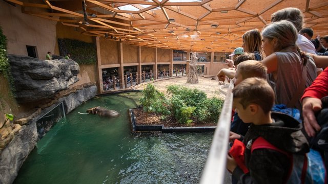 Świąteczna promocja w Orientarium Zoo Łódź. Ile zaoszczędzisz na voucherze? 