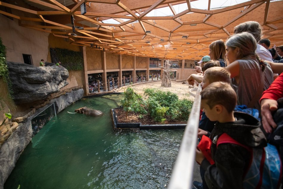 Łódź. Świąteczna promocja w Orientarium Zoo Łódź. Ile zaoszczędzisz na voucherze? 