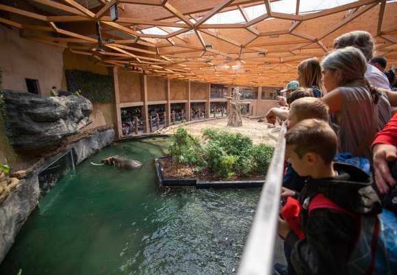 Łódź. Świąteczna promocja w Orientarium Zoo Łódź. Ile zaoszczędzisz na voucherze? 