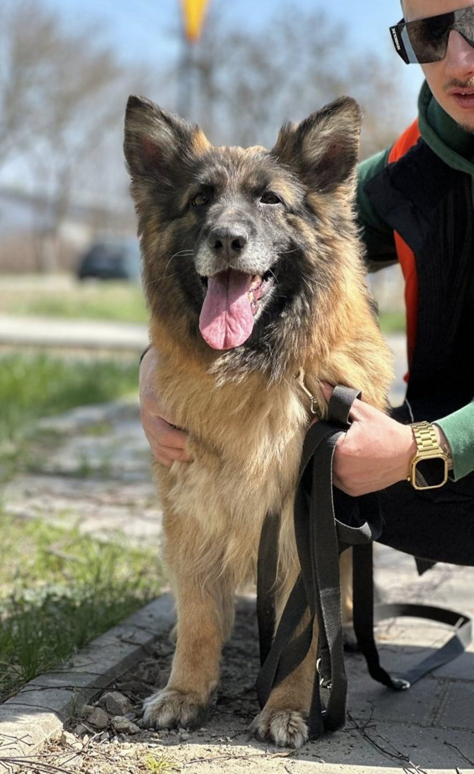 Łódź. Urocza Suzana ze schroniska w Łodzi pragnie miłości. Otwórz swoje serce i adoptuj!