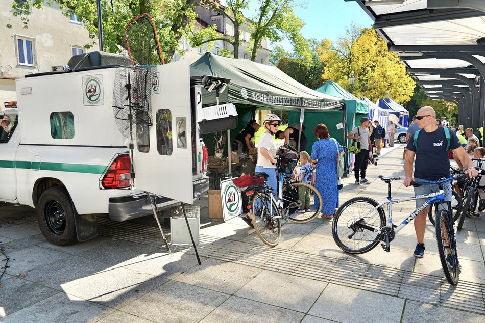 Łódź. Światowy Dzień Zwierząt na Starym Rynku w Łodzi. Psy, konie, a nawet... jerze!