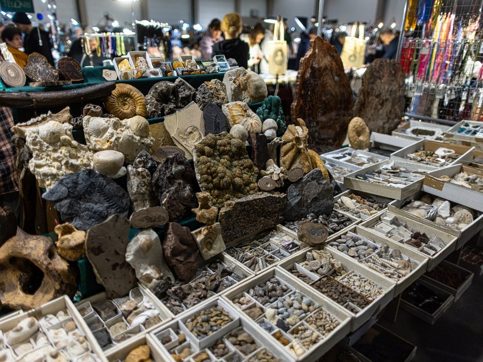 [Translate to Ukraiński:] Łódź. 68. edycja Interstone – targów biżuterii, minerałów i skamieniałości w Łodzi