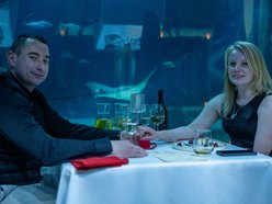 Łódź. Walentynki w Orientarium Zoo Łódź. Przysmaki, koncert na harfie i... zaręczyny